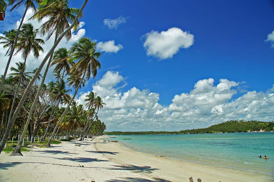 Recife: Tour to Carneiros with Catamaran Ride - The Bus Ride and Hotel Pickup