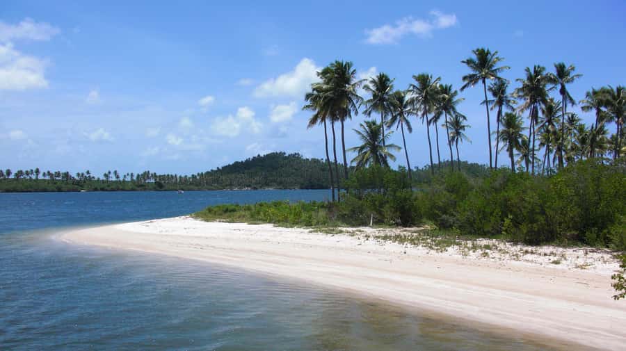 Recife: Tour to Carneiros with Catamaran Ride - The Catamaran Along the Coast