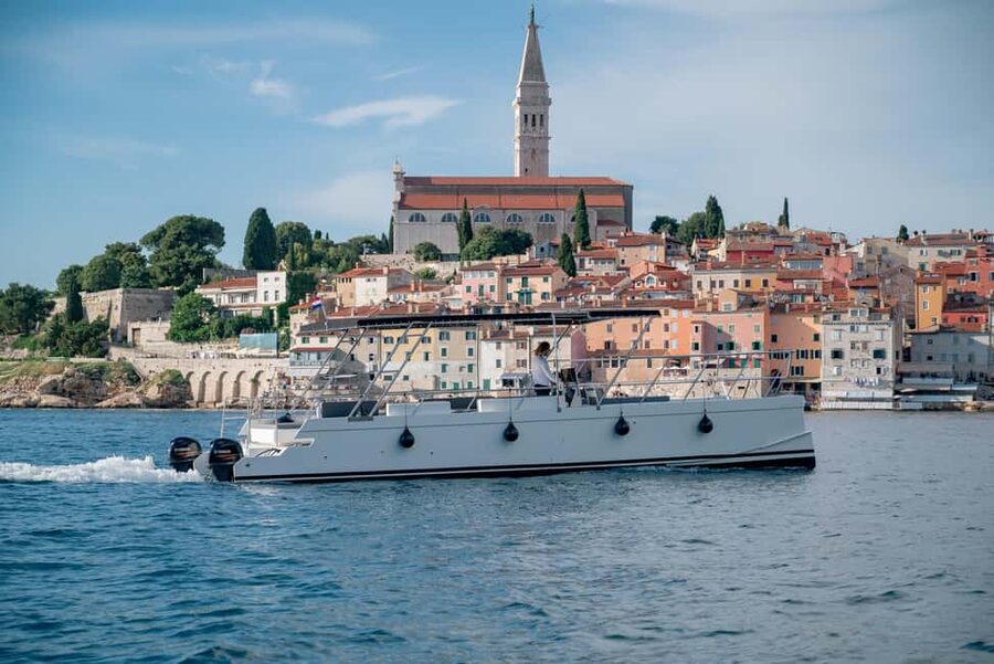 Rovinj: Sunset & dolphin group tours with Catamaran - Setting out toward the dolphins