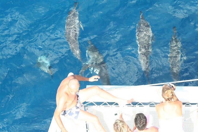 Sailing Catamaran Cruises - Dolphins, snorkeling, and the clear lagoons