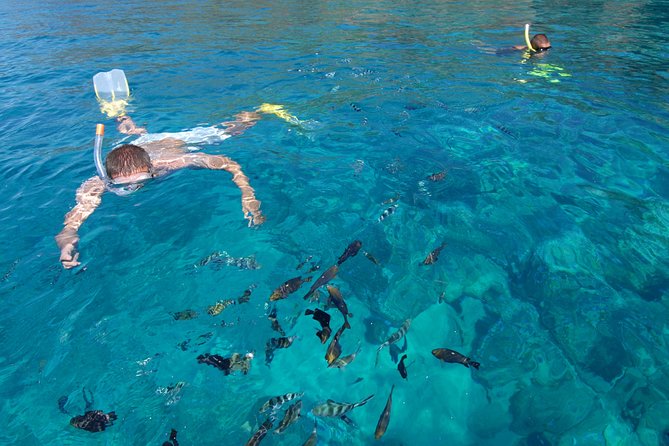 Sailing Catamaran Cruises - The barbecue lunch is a major part of the day