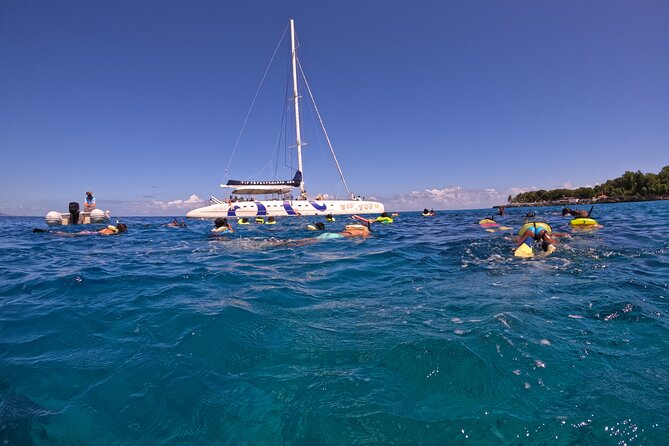 Sailing Catamaran Excursion - Key points before you book