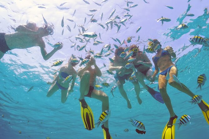 Sailing Catamaran Excursion - A full day on the water from Sosua