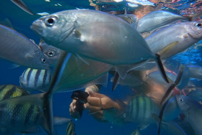 Sailing Catamaran Excursion - What lunch looks like on board