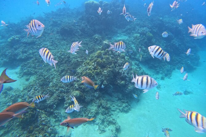 Sailing Catamaran Excursion - The ride toward Puerto Plata and Ocean World
