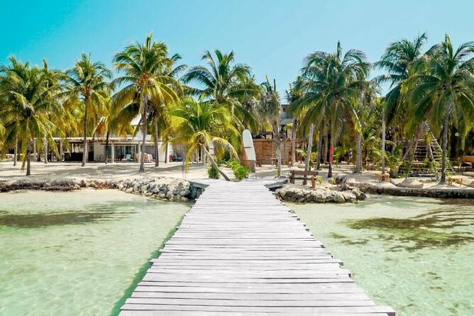 Sailing Catamaran Party to Isla Mujeres from Cancun - The party atmosphere and open bar