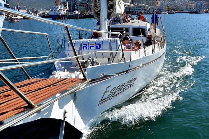 Sailing in The Bay by Catamaran (One Hour) - Is the $21.28 fare good value?