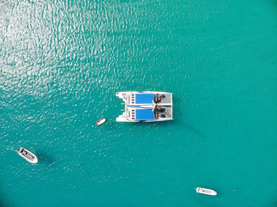 Sal: All-Inclusive Half-Day Lounge Catamaran Cruise - Hotel pickup and boarding in Sal