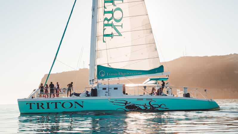 San Diego Harbor Cruise: 2.5 hour Catamaran Cruise - Key points to know before booking