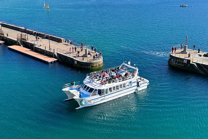 San Sebastian: Eco-Friendly Panoramic Catamaran Cruise - San Sebastián from the water in 40 minutes