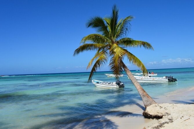 Saona Catamaran Cruise with Lunch and Natural Swimming Pool - The real appeal: a full Caribbean day for $75