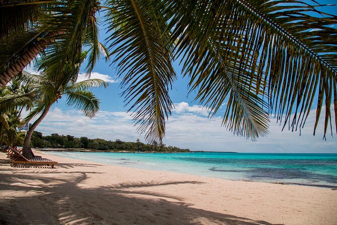 Saona Catamaran Cruise with Lunch and Natural Swimming Pool - Saona Island beach time and lunch beneath the palms