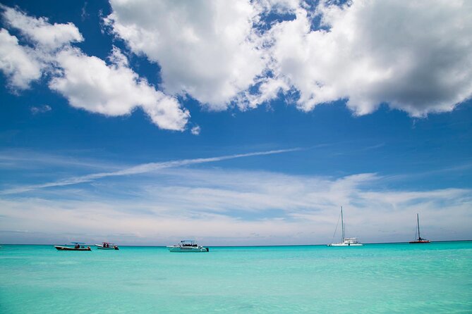 Saona Catamaran Cruise with Lunch and Natural Swimming Pool - Guides, language, and the group atmosphere