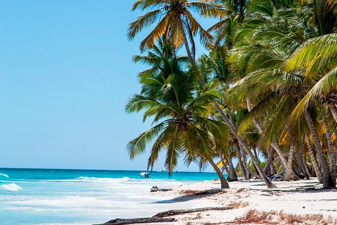 Saona Catamaran Cruise with Lunch and Natural Swimming Pool - Bayahibe and the first boat ride