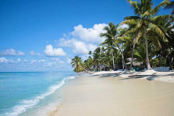 Saona Island Catamaran Cruise Experience (All Inclusive) - Lunch, drinks, and the real value of $99