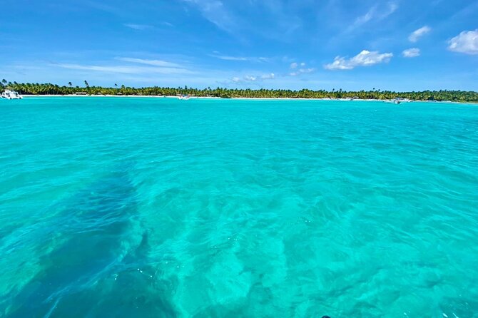 Saona Island Catamaran Cruise Experience (All Inclusive) - Where the organization may test your patience