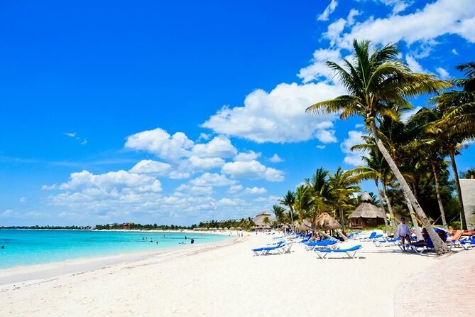 Saona Island Catamaran For Small Group Hotel Pick Food Drink - Key points to know before booking