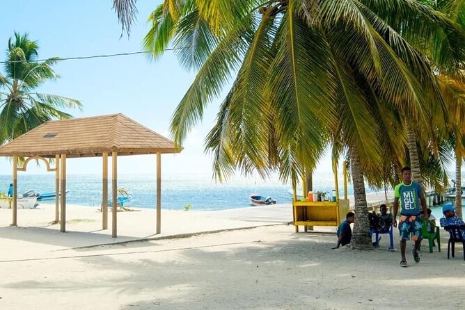 Saona Island Catamaran For Small Group Hotel Pick Food Drink - How the service record affects your decision
