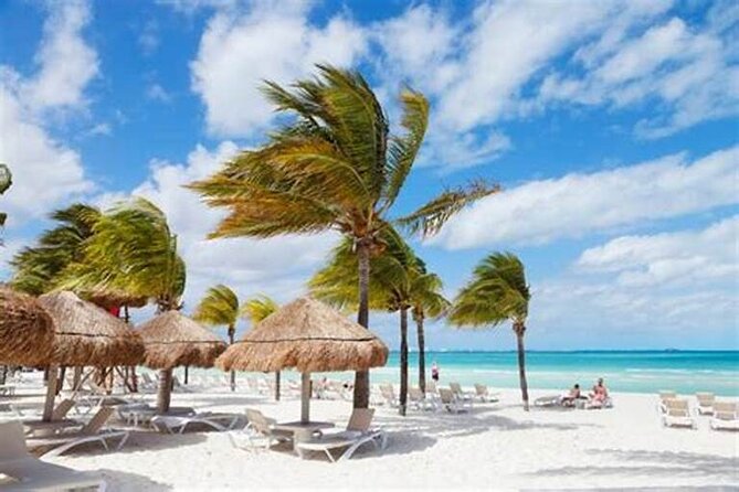 Saona Island Catamaran For Small Group Hotel Pick Food Drink - What the day should look like from Punta Cana