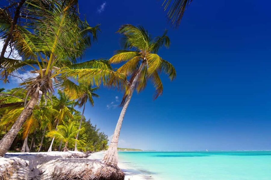 Saona Island: Catamaran/Speedboat Tour to a Dream Beach - The natural pool and giant starfish