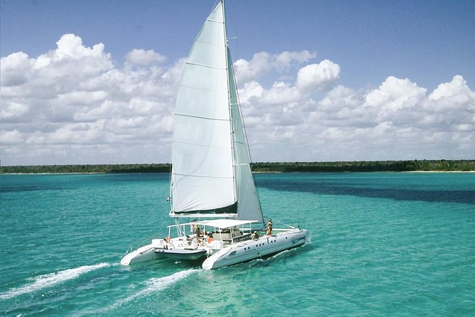 Saona Island Excursion by Catamaran and Speedboat - Why Saona makes a strong day trip from Punta Cana