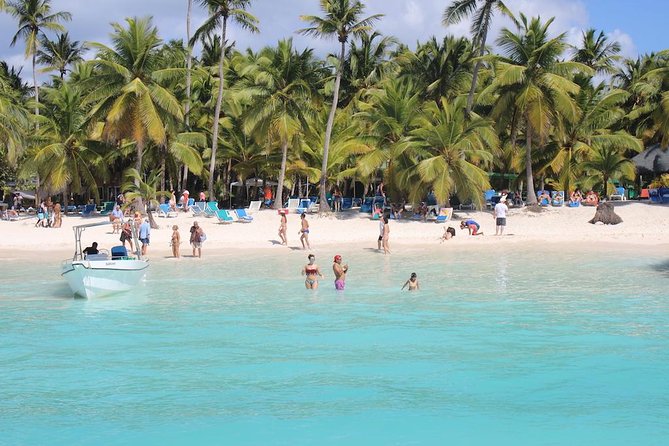 Saona Island Excursion by Catamaran and Speedboat - The natural pool and its starfish stop