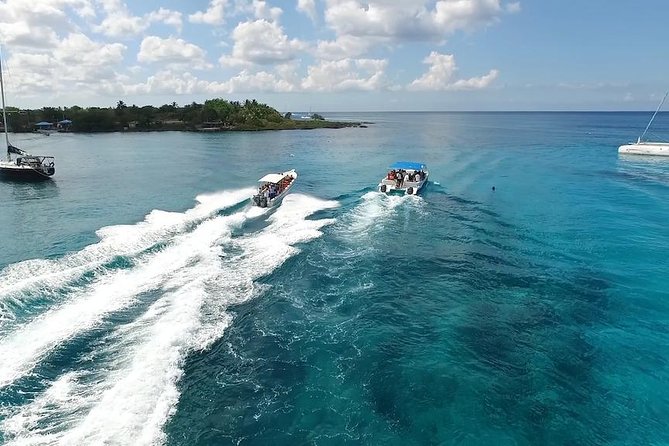 Saona Island Excursion by Catamaran and Speedboat - Should you book it?
