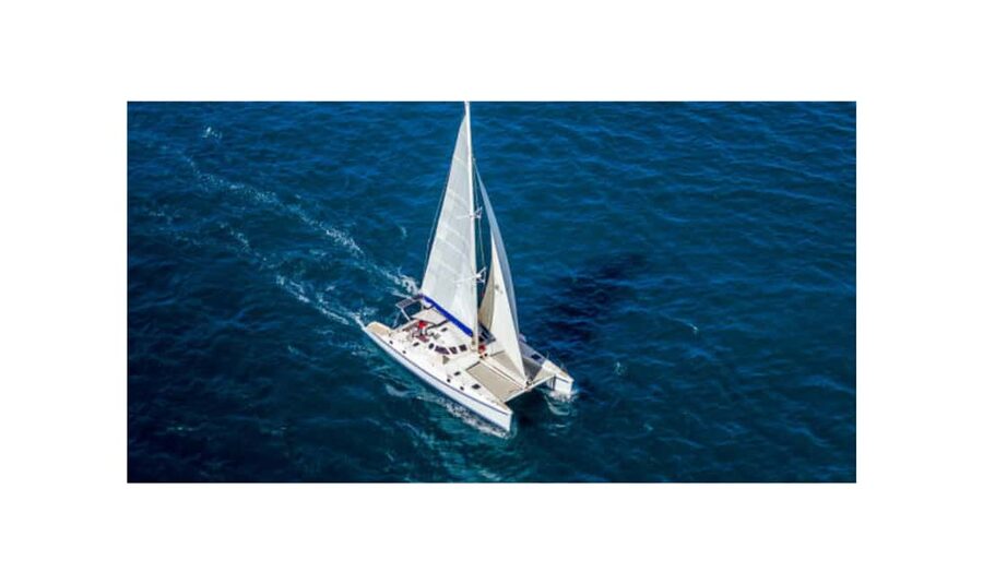 Saona Island From Santo Domingo With Catamaran, Food & Drink - Why Saona Island makes this an appealing day trip