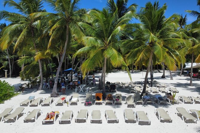 Saona Island: Full-day Catamaran Tour - Small Group - Saona Island at a glance
