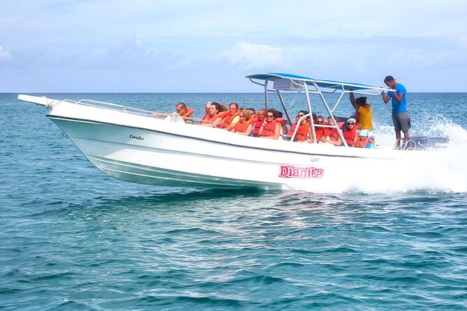 Saona Island Full Day Excursion from Punta Cana + Catamaran Party - Saona’s beach time and buffet lunch
