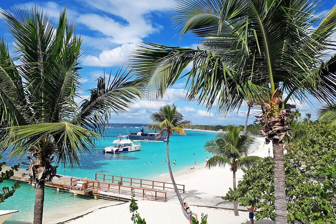 Saona Island Tour and Catamaran Party from Punta Cana - Key points to know before you book