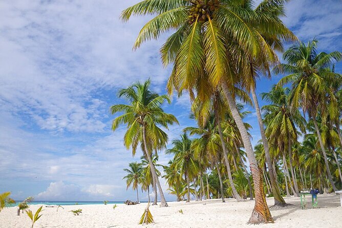 Saona Island Tour and Catamaran Party from Punta Cana - Lunch keeps the day simple
