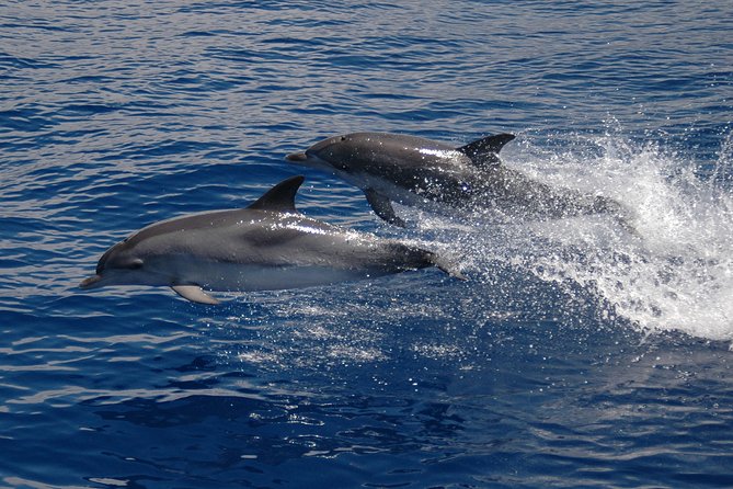 Seaborn Catamaran trips - Life aboard the catamaran