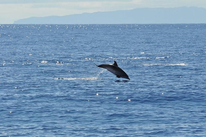 Seaborn Catamaran trips - Who will enjoy this trip most