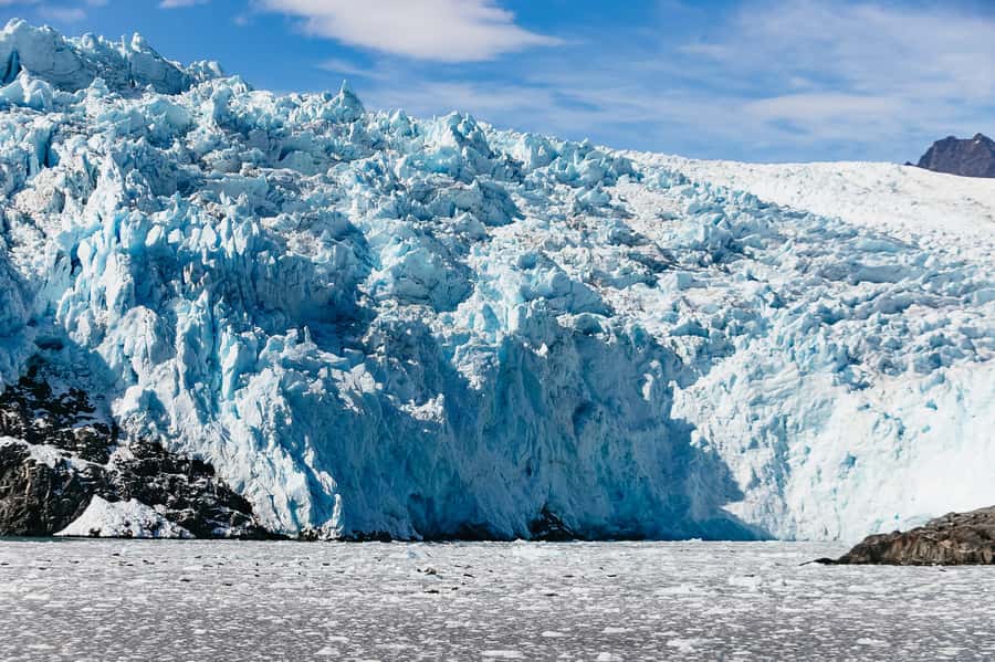 Seward: Kenai Fjords National Park Catamaran Cruise w/Lunch - Searching for whales, otters, and seabirds