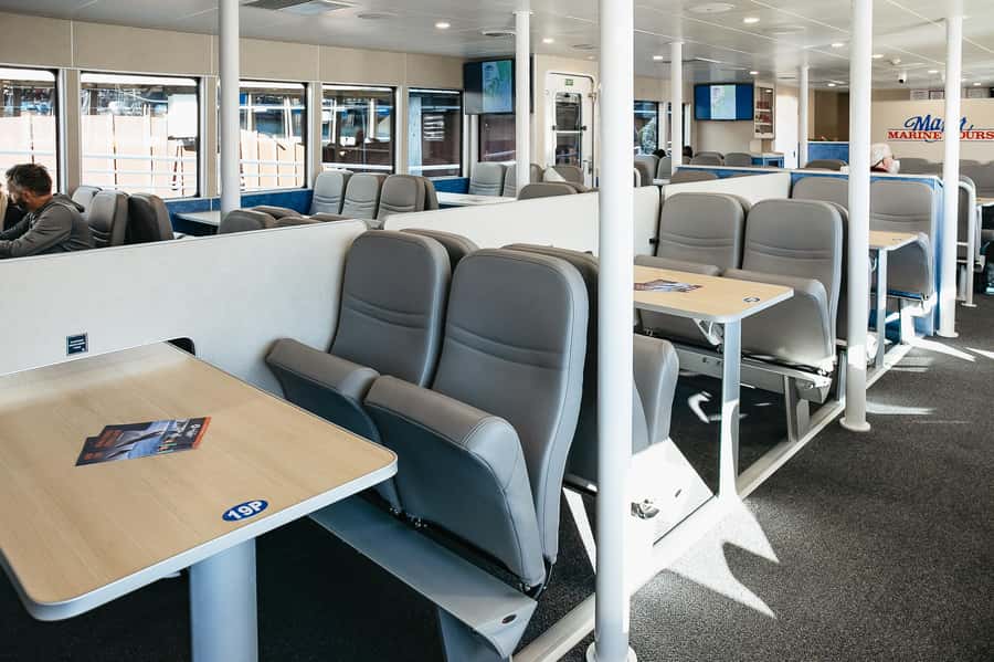 Seward: Kenai Fjords National Park Catamaran Cruise w/Lunch - Lunch, seating, and time on board