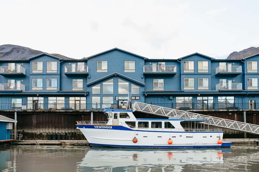 Seward: Kenai Fjords National Park Catamaran Cruise w/Lunch - Who should book this cruise