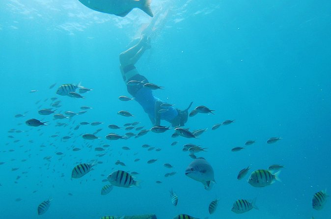 Shasa Catamaran Cruises Limited Numbers 3 Hour Sail and Snorkel - Practical details for your morning