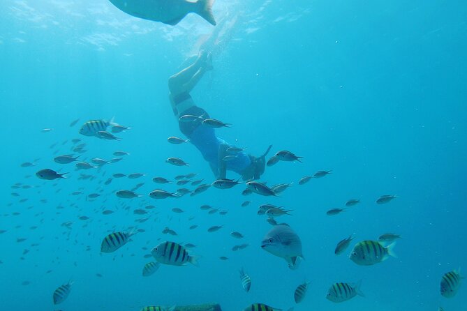Shasa Catamaran Cruises Limited Numbers 3 Hour Sail and Snorkel - Why the 10-person limit matters