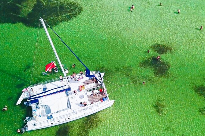 Shell Island Snorkel and Dolphin Catamaran Cruise with Island Time - Check in at 5201 N Lagoon Drive