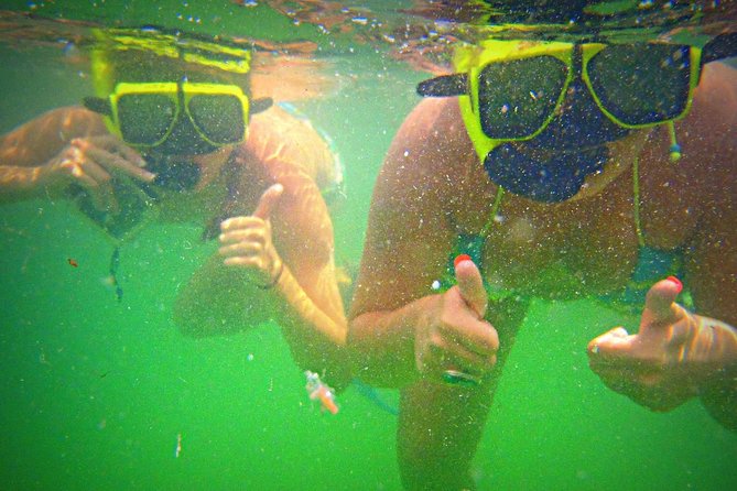 Shell Island Snorkel and Dolphin Catamaran Cruise with Island Time - Who should book this catamaran cruise