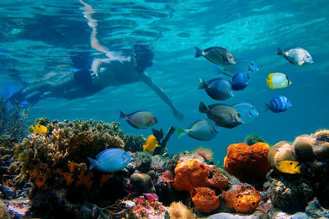 Short Excursion 4-Hour Party Catamaran and Snorkeling - Leaving the Cabarete and Sosua area
