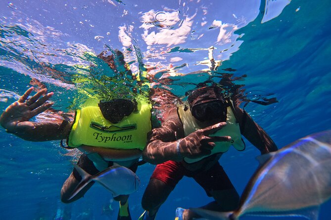 Short Excursion 4-Hour Party Catamaran and Snorkeling - Who will enjoy this outing most