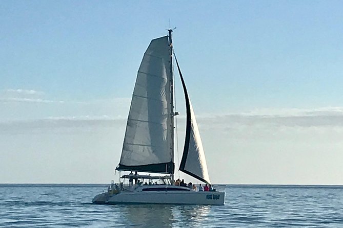 Sightseeing and Sunset Catamaran Sailing Excursion - Choosing the 2.5-hour day sail