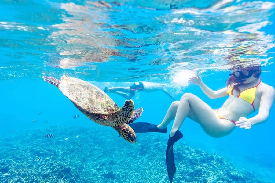 Sister, Coco, and Felicite Island: Seychelles Catamaran Tour - A safe, social day on the water