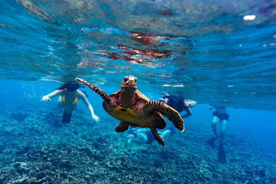 Sister, Coco, and Felicite Island: Seychelles Catamaran Tour - Sister Island’s private beach and granite scenery