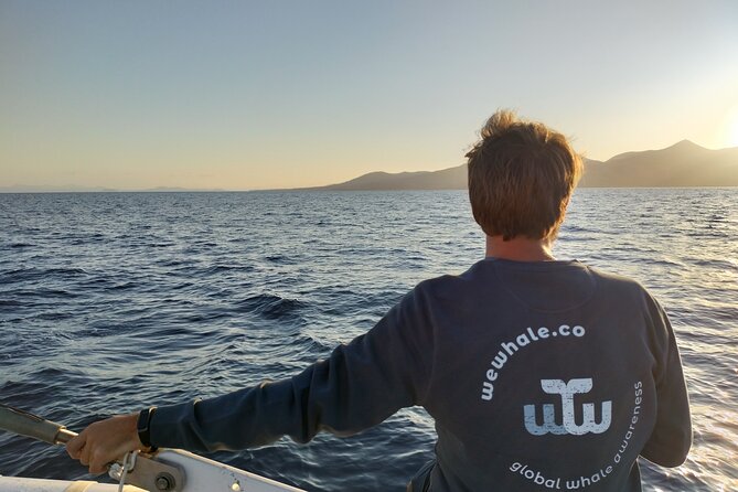 Small Group Dolphin Sunset Tour on Electric Catamaran Lanzarote - Watching for dolphins in the Canary Islands