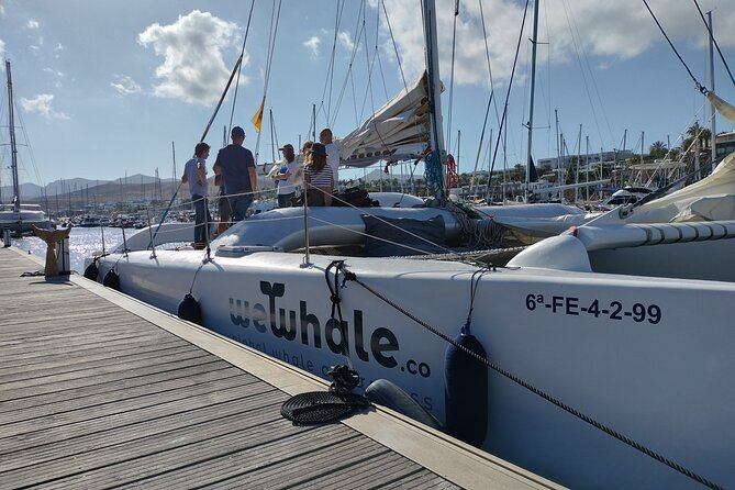 Small Group Dolphin Sunset Tour on Electric Catamaran Lanzarote - Drinks, snacks, and the small details