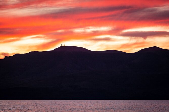 Small Group Dolphin Sunset Tour on Electric Catamaran Lanzarote - How much value do you get for $90.70?