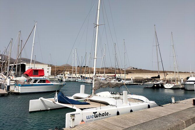 Small Group Dolphin Sunset Tour on Electric Catamaran Lanzarote - What to bring and how to prepare
